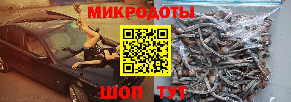 Псилоцибиновые грибы прущие грибы Семилуки